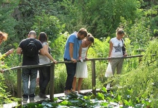 Orto Botânico Comunale di Lucca