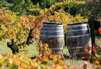 Vinícola Maté Winery em Montalcino