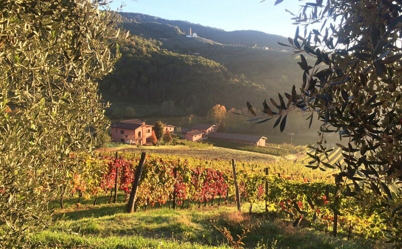 Vinícola Greo Winery