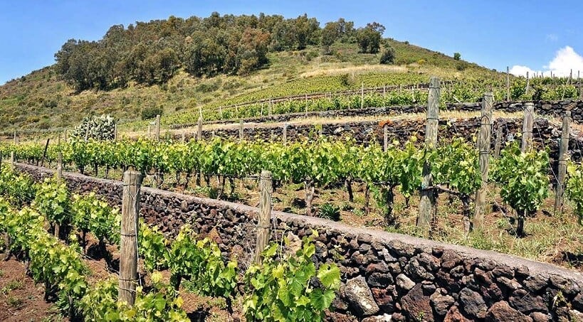 Vinícola Benanti Winery em Sicília