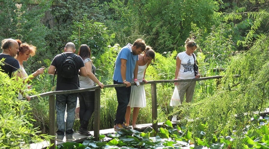 Visitantes no Orto Botânico di Lucca 
