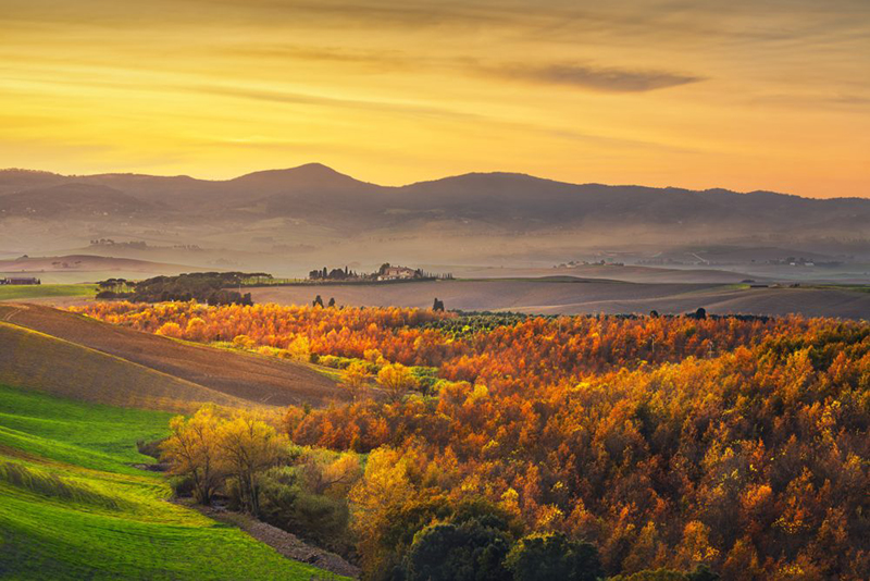 Campos da Toscana no outono